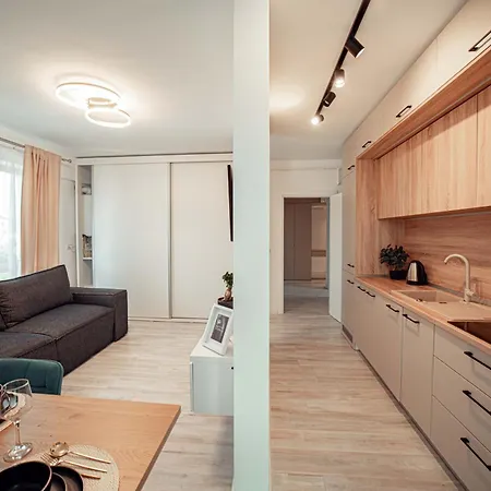 Luxury Cozy Apartments And Studios Palas Mall Iasi Extérieur photo