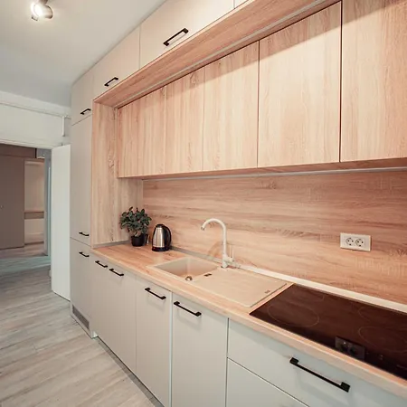 Luxury Cozy Apartments And Studios Palas Mall Iasi Extérieur photo